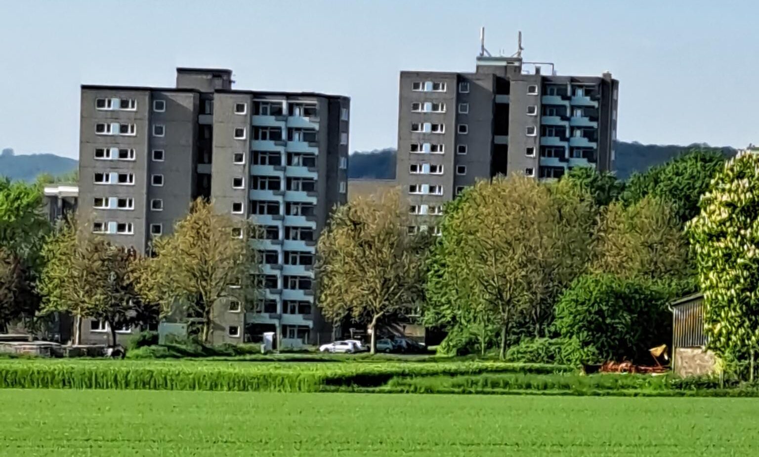 „Es funktioniert nur, wenn wir uns zu­sam­men­schließen“